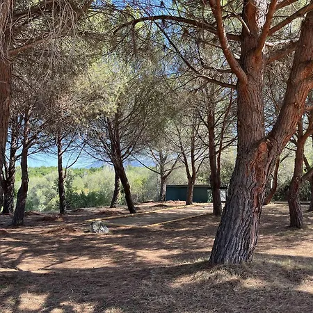 3 Pers Climatise Avec Piscine A St Florent * Saint-Florent (Corsica)