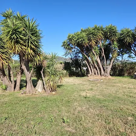 3 Pers Climatise Avec Piscine A St Florent Apartment *