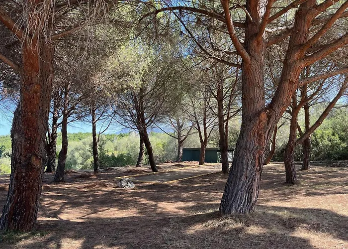 3 Pers Climatise Avec Piscine A St Florent * Saint-Florent (Corsica)