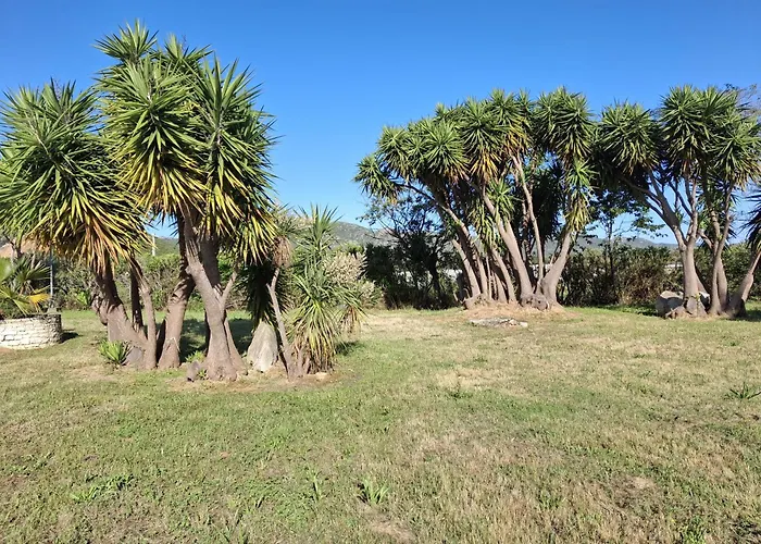 3 Pers Climatise Avec Piscine A St Florent Appartement *